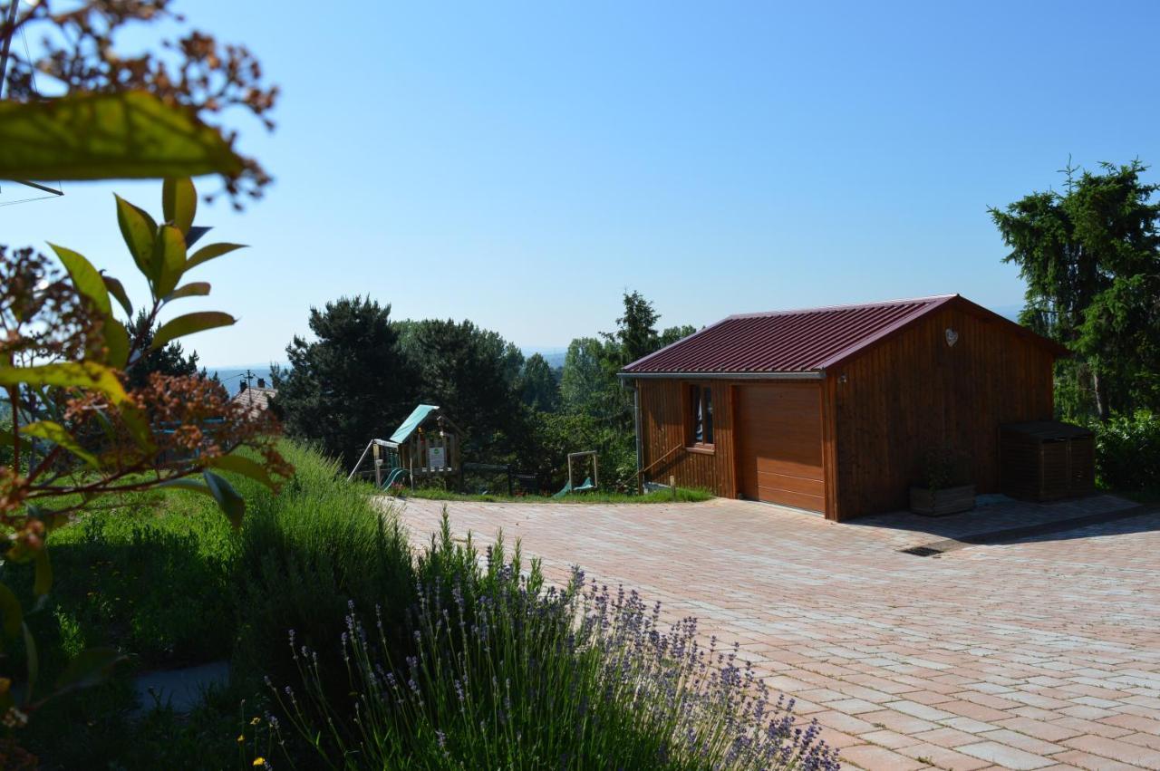 Chambres D'Hotes Les Vignes Saint-Jean-Saverne Exterior photo
